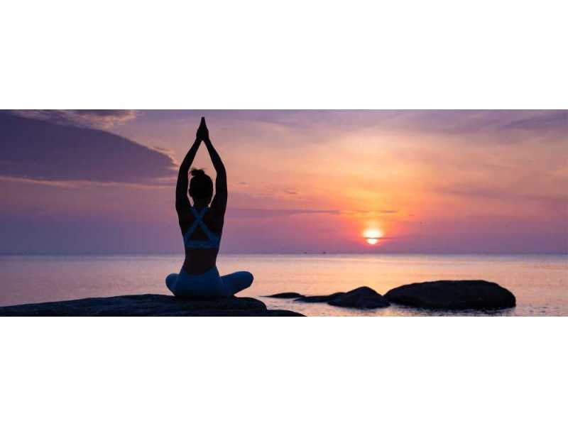 ayurveda-yoga-clinical-wellness-in-one-transformative-journey-small-1