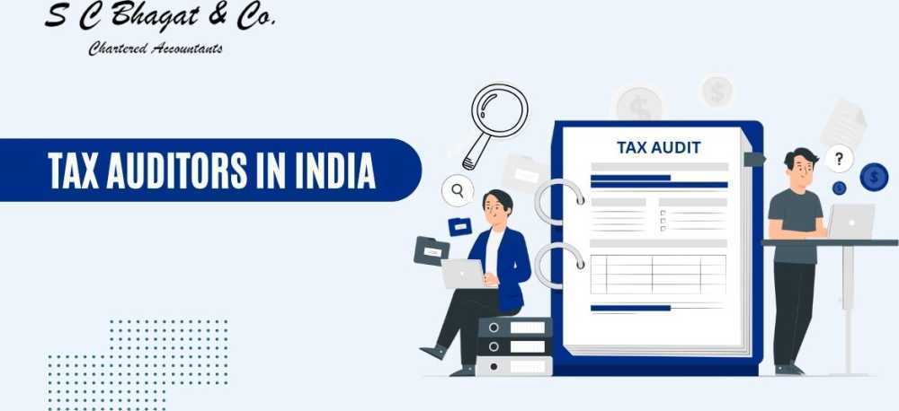 professional-tax-auditors-in-india-for-accurate-financial-reporting-big-0