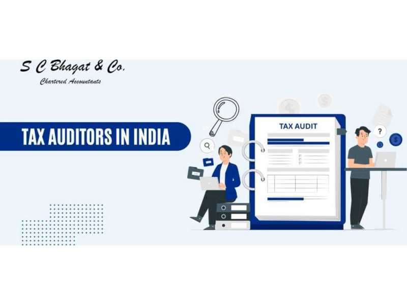 professional-tax-auditors-in-india-for-accurate-financial-reporting-small-0