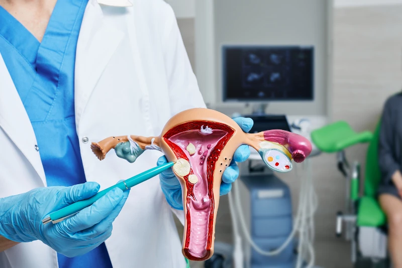uterine-fibroids-causes-symptoms-impact-on-pregnancy-big-0