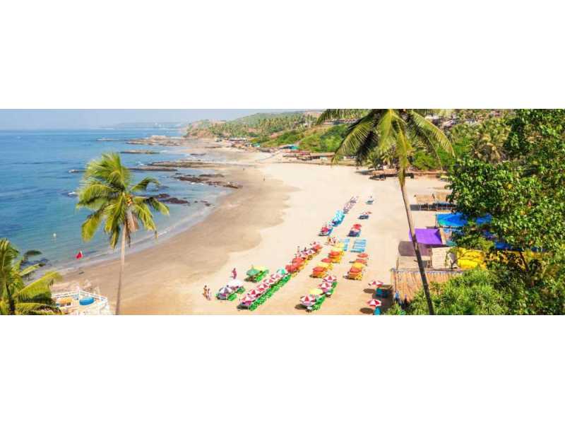 relax-unwind-rejuvenate-in-south-goas-forest-sanctuary-small-0