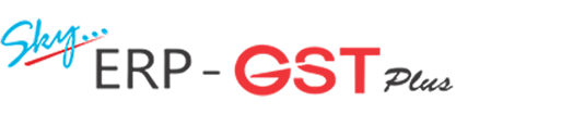 skyerp-gst-plus-manage-inventory-accounts-gst-with-ease-big-0
