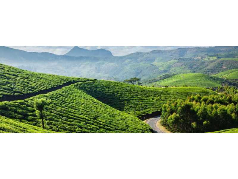 luxury-island-stay-in-kerala-book-your-dream-escape-small-1