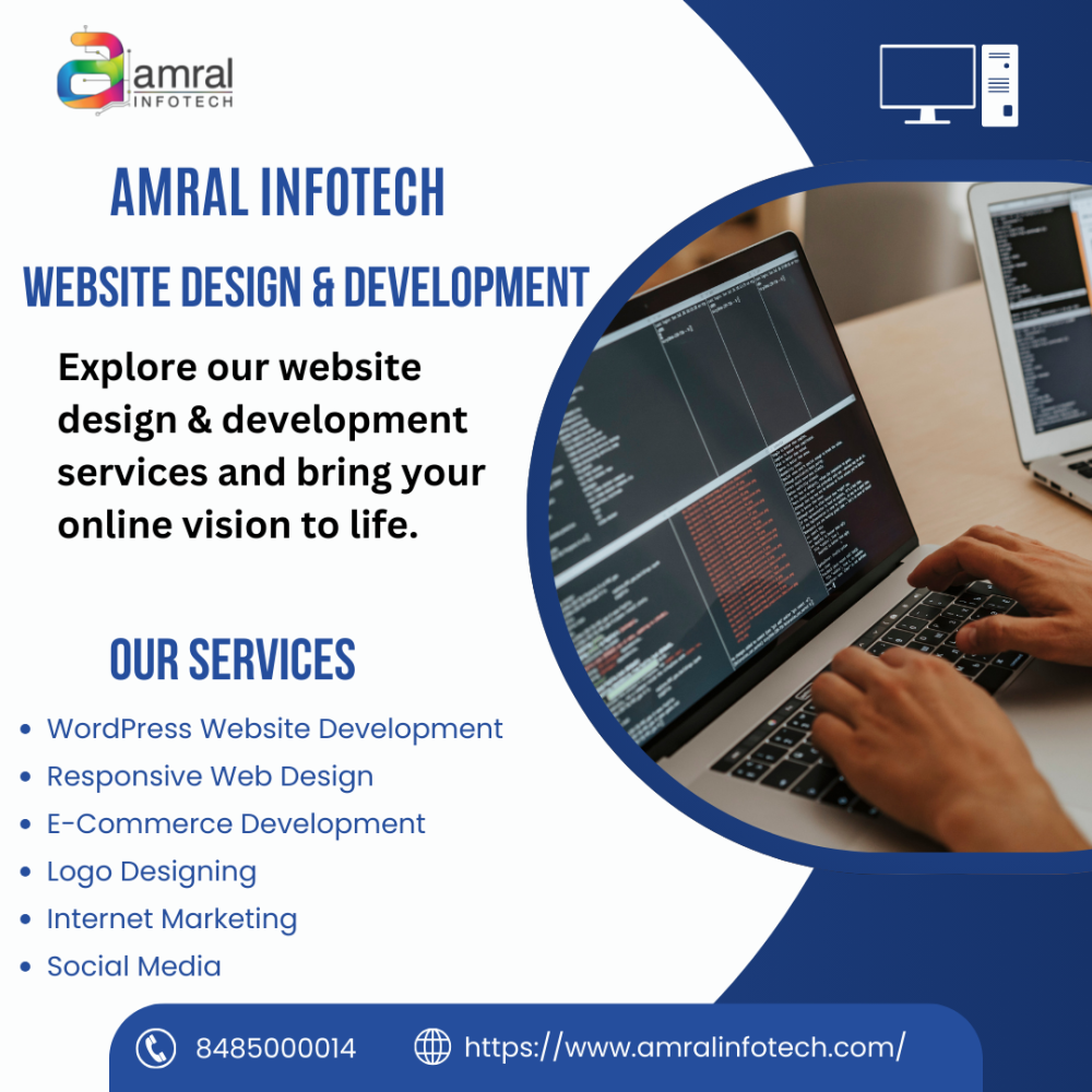 pune-expert-web-designer-and-developer-amral-infotech-big-0