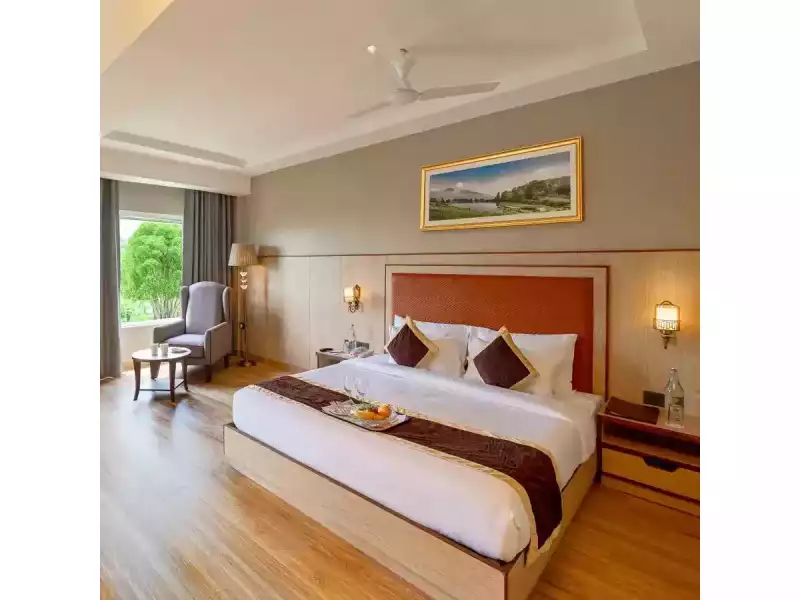 book-super-deluxe-rooms-in-mathura-at-best-rates-small-0