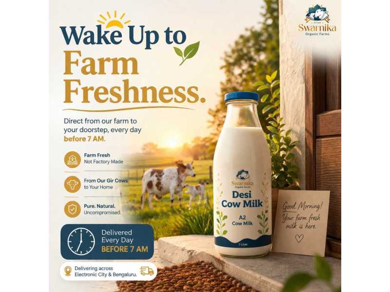 buy-pure-cow-milk-in-electronic-city-phase-1-bangalore-small-0