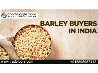 Barley Buyers in india