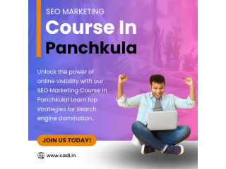 SEO Marketing Course In Panchkula