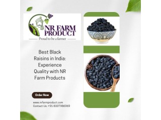 Best Black Raisins in India: Experience Quality with NR Farm Products