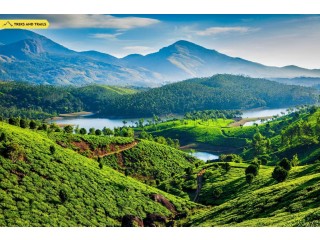 Enchanting Kerala: Discover Nature's Symphony with WanderOn