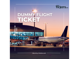 Effortlessly book fake flight ticket the incredibly low price of $5!