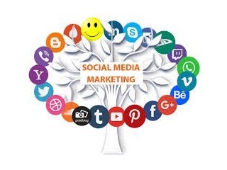 Boost Your Brand's Online Impact with India's Top Social Media Marketing agency!