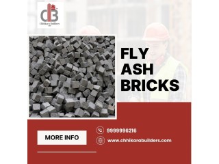 Eco-Friendly: Fly Ash Bricks Manufacturing