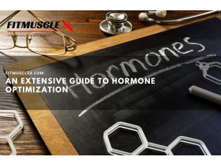 An Extensive Guide to Hormone Optimization | FitMuscleX