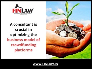 A consultant is crucial in optimizing the business model of crowdfunding platforms
