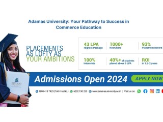 Adamas University: Your Pathway to Success in Commerce Education