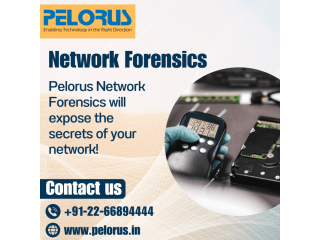 Network Forensics | Pelorus