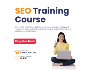Seo training course at cadl in zirakpur