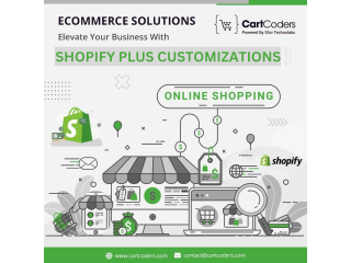 Shopify Plus Checkout Customization Services Provider