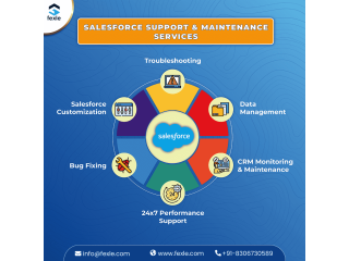 Are You Looking for the Best Salesforce Support and Feeling Lost ?