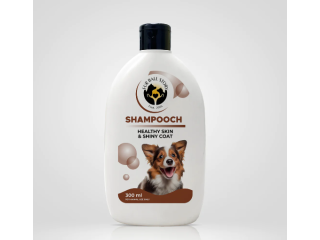 Say Goodbye to Dog Hair Fall with Shampooch Healthy Skin & Shiny Coat Dog Shampoo