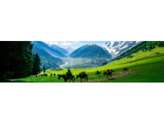 Experience the Enchanting Beauty of Kashmir with Our Tour Packages