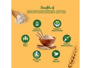 Embrace a Healthy Lifestyle with Biofortified Wheat Flour