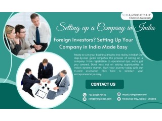 Foreign Investors? Setting Up Your Company in India Made Easy