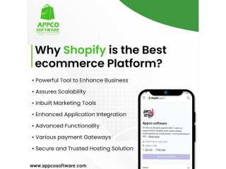 Top Shopify SEO Experts & Services in India | Best SEO Agency