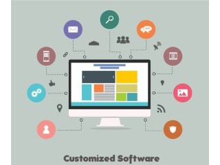 Customized software development