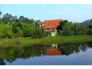 Discover The Charm Of Kerala: Unforgettable Tour Packages From Wanderon