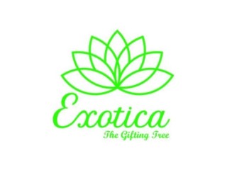 Delightful Luxury Flower Delivery in Delhi - Exotica - The Gifting Tree