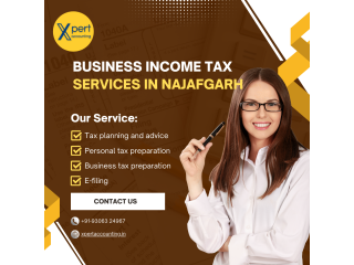 Best Income Tax Services in Najafgarh
