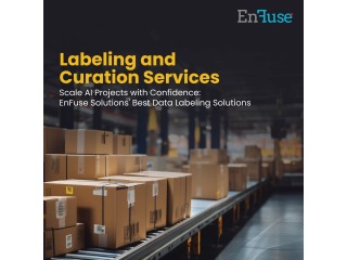 Scale AI Projects with EnFuse's Best Data Labeling Solutions