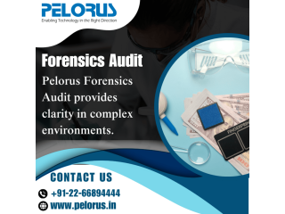 Forensic Consultant | Forensics Audit