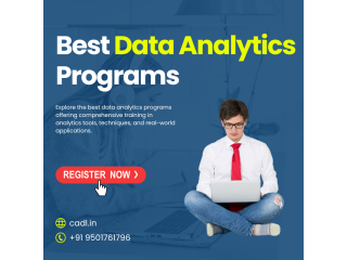 Best Data Analytics Programs In Zirakpur (CADL)