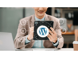 Best WordPress Development Company in Lucknow