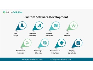 Creating Custom Software Development Solutions for the Future
