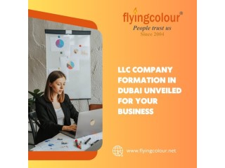 LLC Company Formation in Dubai: An Overview for Novices