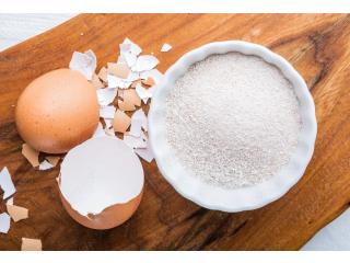 Eggshell Membrane Powder Market Share, Global Industry Analysis Report 2023-2032