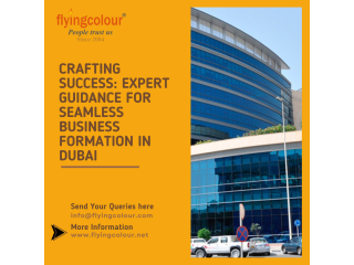 Deciphering Business Formation in Dubai:A Complete Guide to LLC Establishment