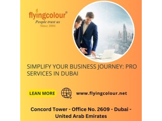 Optimizing Business Operations: Pro Services in Dubai