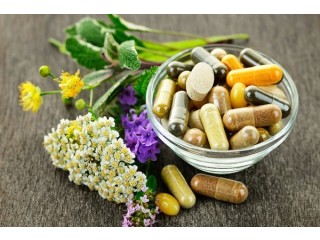 Global Nutraceutical Excipients Market Report 2023 to 2032