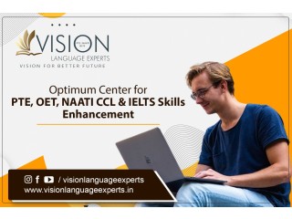 Get Ready for PTE Success with Vision Language Experts