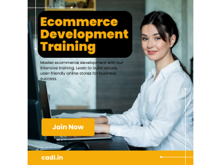 Ecommerce Development Training In Zirakpur (CADL)