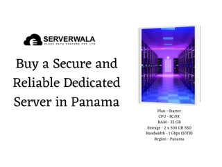 Buy a Secure and Reliable Dedicated Server in Panama