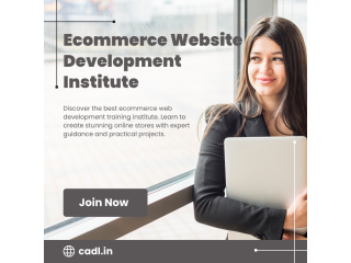 Ecommerce Website Development Institute In Zirakpur (CADL)