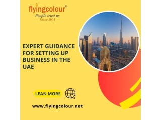 Constructing Your Business: Setup Business in UAE