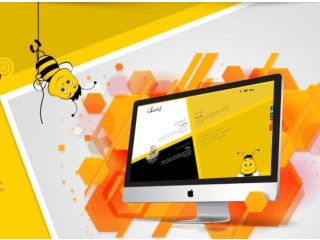 Searching for a website development company! Check IBees
