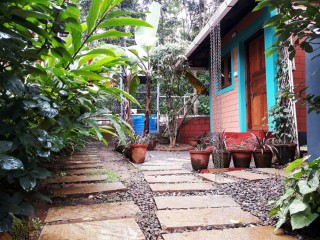 Luxurious Long Homestays with Swimming Pool in Kerala